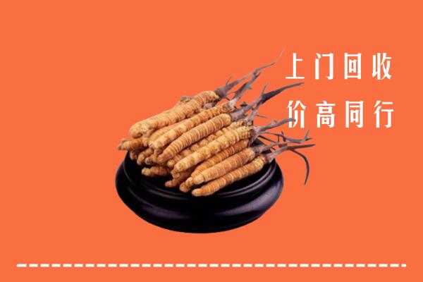 高价求购：中宁县回收散虫草